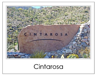 Cintarosa Homes For Sale in Desert Mountain Scottsdale AZ